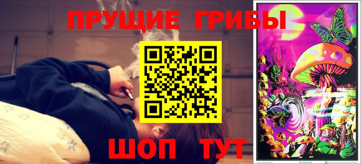 Горно-Алтайск  Галлюциногенные грибы GOLDEN TEACHER  что такое   Галлюциногенные грибы GOLDEN TEACHER  Вход с VPN 